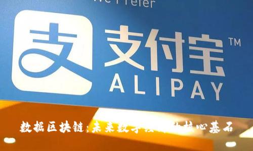 数据区块链：未来数字经济的核心基石