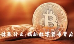 区块链里的泡沫是什么：揭秘数字货币背后的风