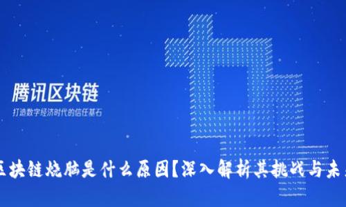 区块链烧脑是什么原因？深入解析其挑战与未来