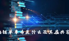 深入探讨：区块链单车币是什么及其在共享经济