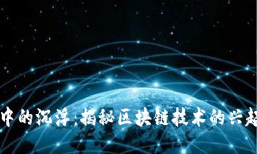 区块链中的沉浮：揭秘区块链技术的兴起与挑战