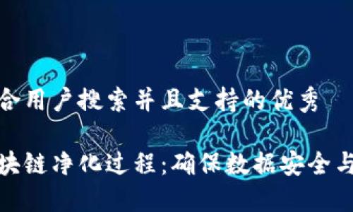 思考一个符合用户搜索并且支持的优秀

深入了解区块链净化过程：确保数据安全与透明的关键