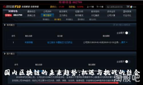 国内区块链的未来趋势：机遇与挑战的结合