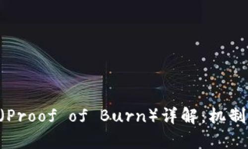 区块链燃烧证明（Proof of Burn）详解：机制、应用及案例分析