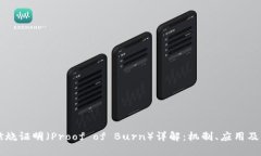区块链燃烧证明（Proof of Burn）详解：机制、应用