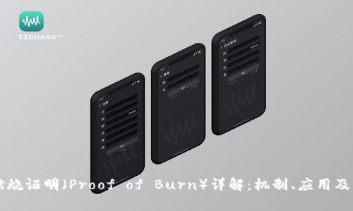 区块链燃烧证明（Proof of Burn）详解：机制、应用及案例分析
