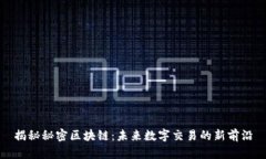 揭秘秘密区块链：未来数字交易的新前沿