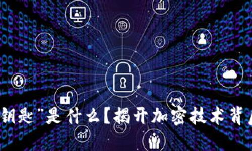 区块链中的“钥匙”是什么？揭开加密技术背后的安全之谜