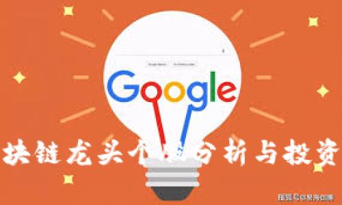 : 区块链龙头个股分析与投资指南