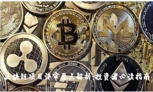 区块链项目评审要点解析：投资者必读指南