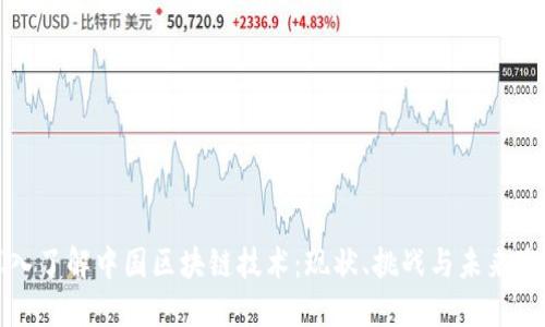 深入了解中国区块链技术：现状、挑战与未来发展