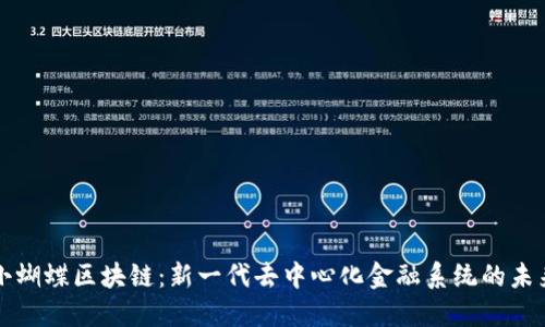 小蝴蝶区块链：新一代去中心化金融系统的未来