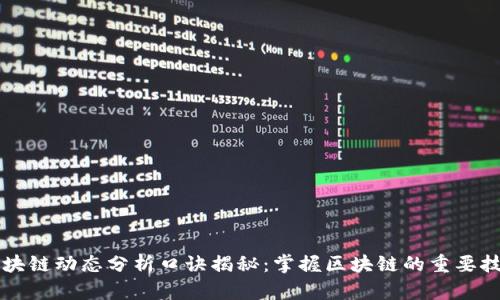 区块链动态分析口诀揭秘：掌握区块链的重要技巧