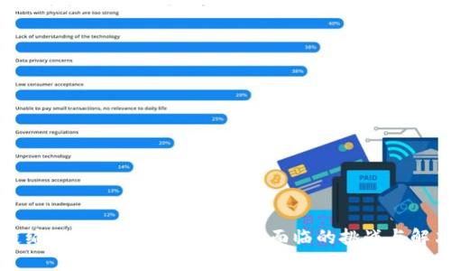 区块链编程的痛点解析：开发者面临的挑战与解决方案