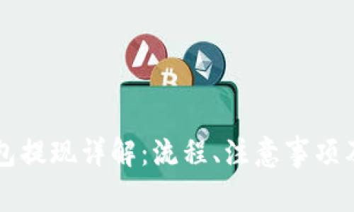 区块链钱包提现详解：流程、注意事项及常见问题