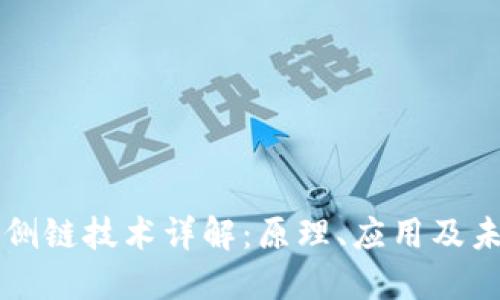 区块链侧链技术详解：原理、应用及未来发展