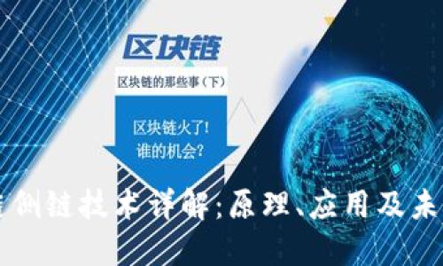 区块链侧链技术详解：原理、应用及未来发展