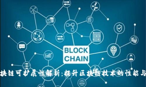 : 区块链可扩展性解析：提升区块链技术的性能与应用