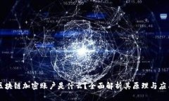 区块链加密账户是什么？全面解析其原理与应用