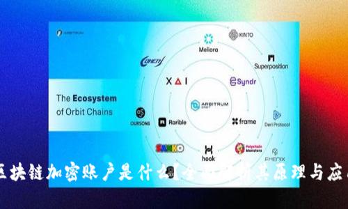 区块链加密账户是什么？全面解析其原理与应用