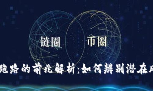 区块链跑路的前兆解析：如何辨别潜在风险项目