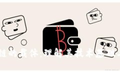 区块链的载体：理解其技术基础与应用