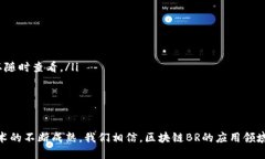   深入解析区块链BR：未来数字资产的关键技术