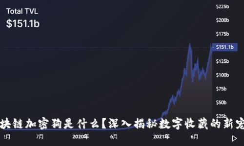 区块链加密狗是什么？深入揭秘数字收藏的新宠儿