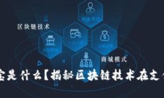 区块链支付宝是什么？揭秘区块链技术在支付领