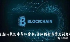 如何在im钱包中导入密钥：详细指南与常见问题解