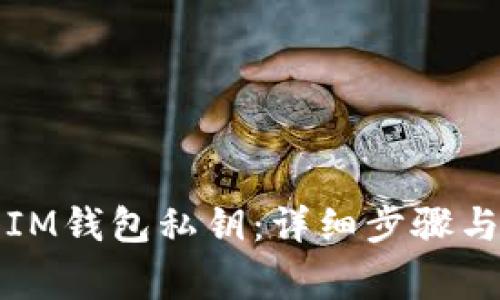如何导入IM钱包私钥：详细步骤与注意事项