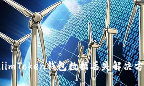 biasotiimToken钱包数据丢失解决方案详解