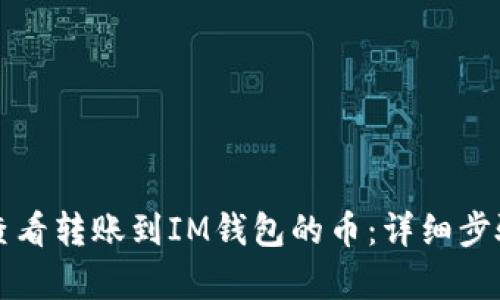 如何查看转账到IM钱包的币：详细步骤解析