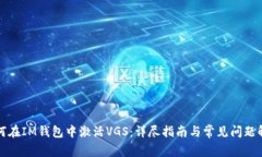 如何在IM钱包中激活VGS：详尽指南与常见问题解答