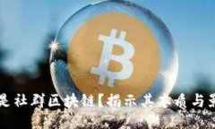 什么是社群区块链？揭示其本质与影响力