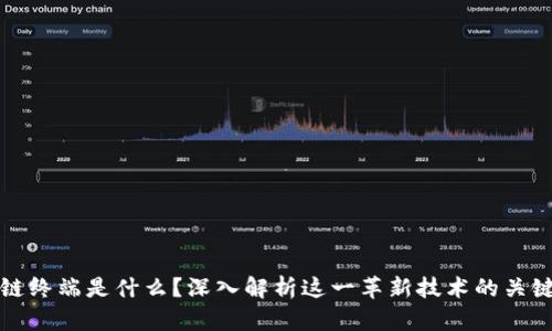 区块链终端是什么？深入解析这一革新技术的关键概念