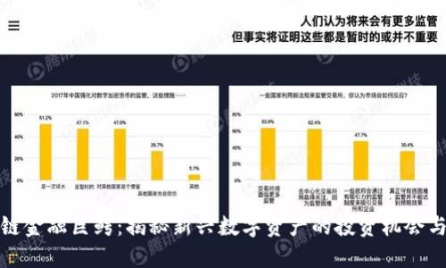 区块链金融巨鳄：揭秘新兴数字资产的投资机会与风险