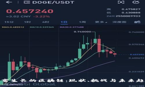 野蛮生长的区块链：现状、挑战与未来趋势