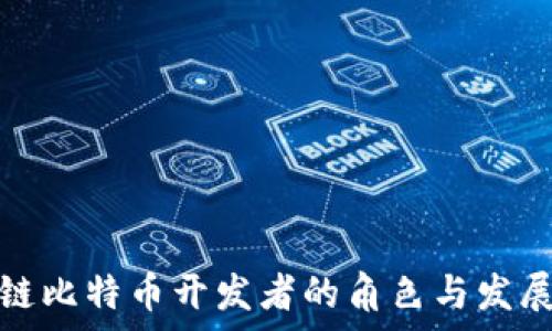   
区块链比特币开发者的角色与发展前景