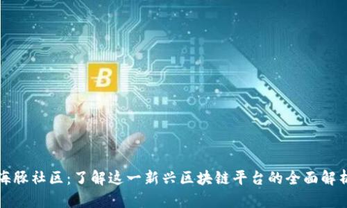 海豚社区：了解这一新兴区块链平台的全面解析