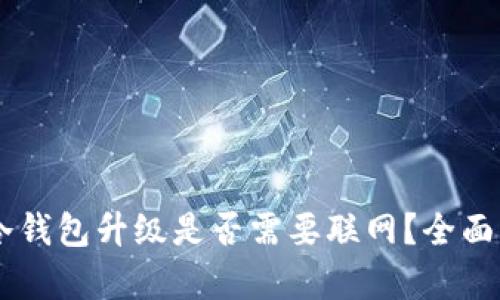 :imToken冷钱包升级是否需要联网？全面解析与指南