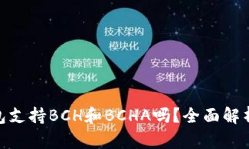 imToken钱包支持BCH和BCHA吗？全面解析与操作指南
