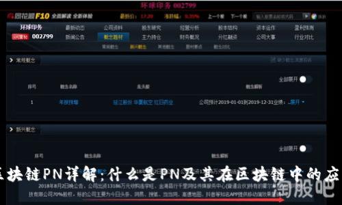 区块链PN详解：什么是PN及其在区块链中的应用