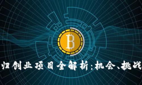 : 区块链海归创业项目全解析：机会、挑战与未来发展