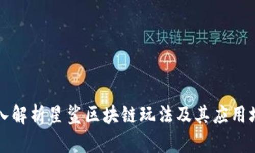 深入解析星鲨区块链玩法及其应用场景