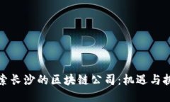 探索长沙的区块链公司：机遇与挑战