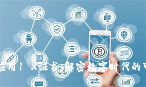 区块链应用1 X证书：解密数字时代的可信认证