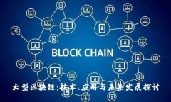 大型区块链：技术、应用与未来发展探讨