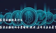 真谛区块链是什么真谛区块链的全景解析：技术