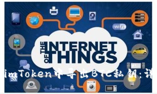 如何在imToken中导出BTC私钥：详细指南